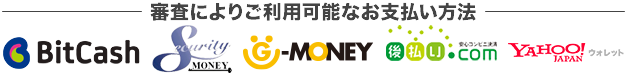 審査より利用可能なクレジットカード、コンビニ電子マネー