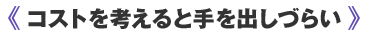 コストを考えると手を出しづらい